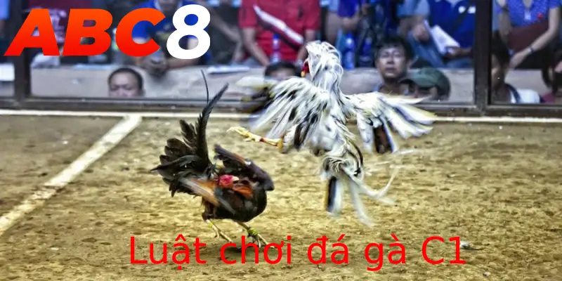 Quy định về luật chơi tại đá gà C1